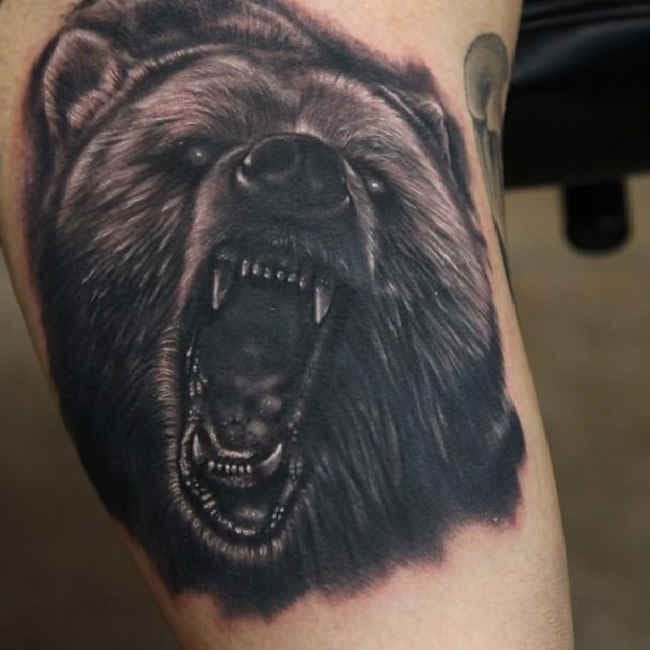 12+ Angry Bear Tattoo Designs - PetPress