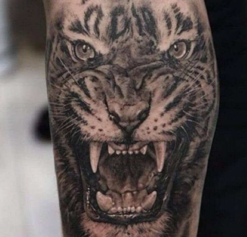 15+ Angry Tiger Tattoo Designs and Ideas - PetPress