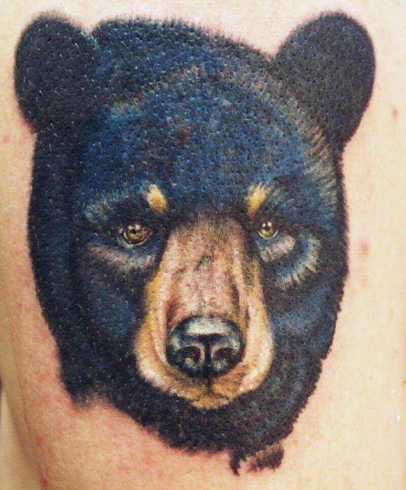 Top 12+ Realistic Bear Face Tattoo Ideas PetPress