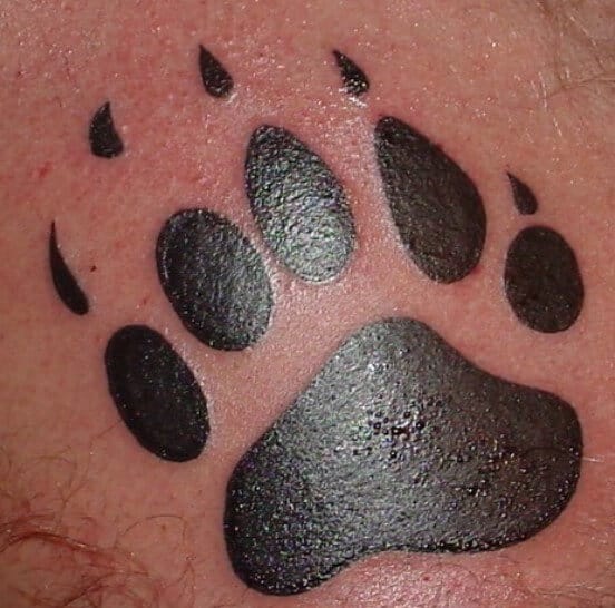 12+ Best Bear Paw Print Tattoo Designs - PetPress