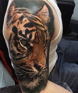 12+ Best Bengal Tiger Tattoo Designs and Ideas - PetPress