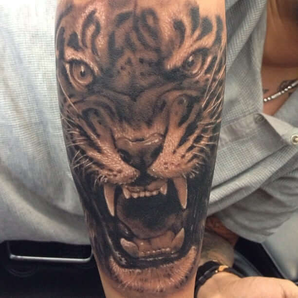 12+ Black and Grey Tiger Tattoo Designs PetPress