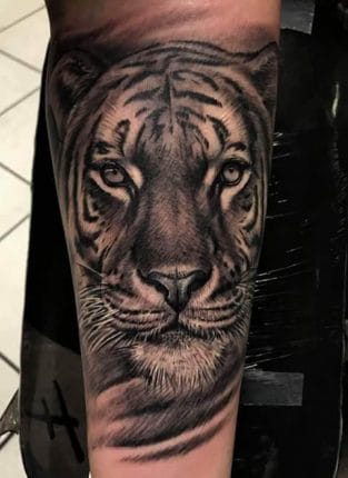 12+ Black and Grey Tiger Tattoo Designs - PetPress