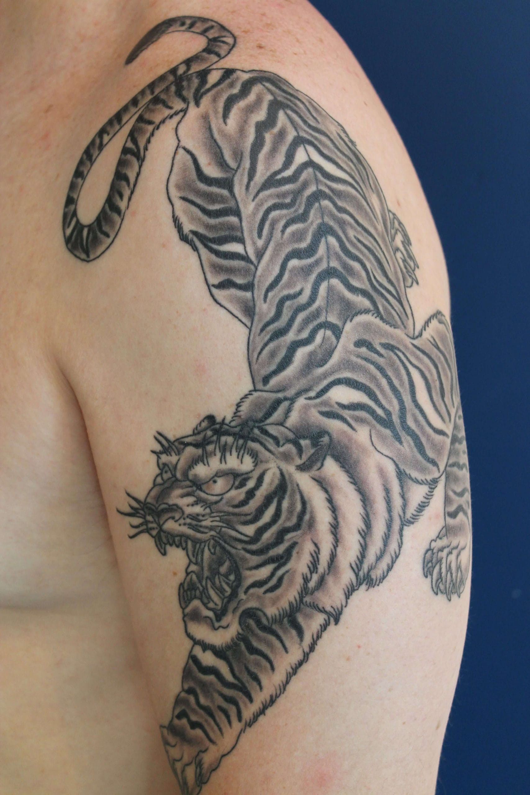 12+ Black and Grey Tiger Tattoo Designs PetPress