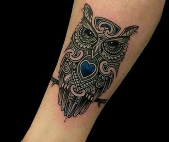 15+ Best Celtic Owl Tattoo Designs - PetPress