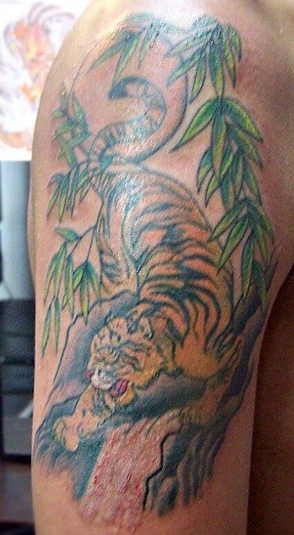 10+ Best Crouching Tiger Tattoo Designs - PetPress