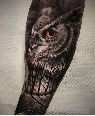 10+ Great Horned Owl Tattoo Ideas - PetPress