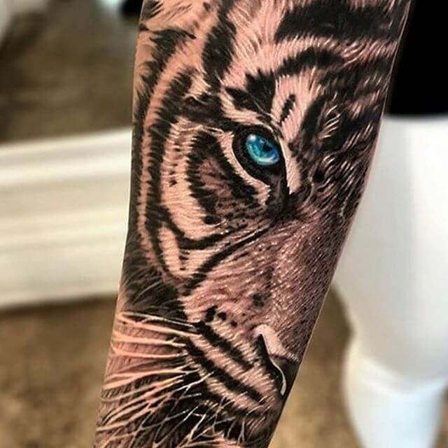 12+ Best Half Tiger Face Tattoo Designs PetPress