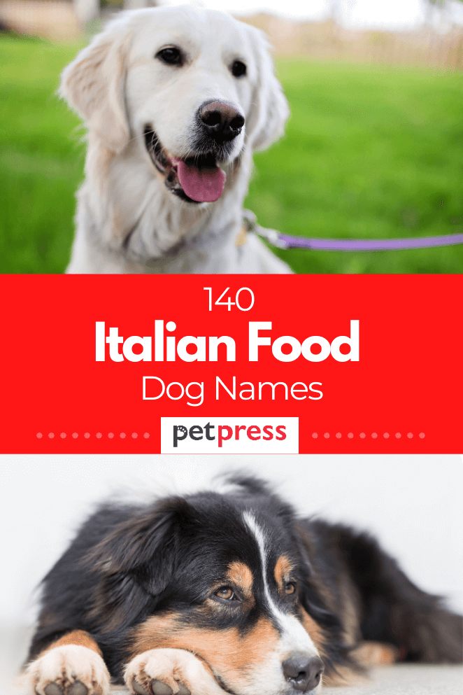 140 Italian Food Names For Dogs That Are Delicious 140-italian-food-names-for-dogs-that-are-delicious