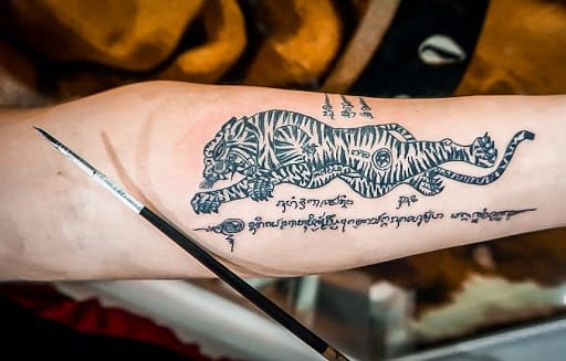 10+ Amazing Muay Thai Tiger Tattoo Designs - PetPress