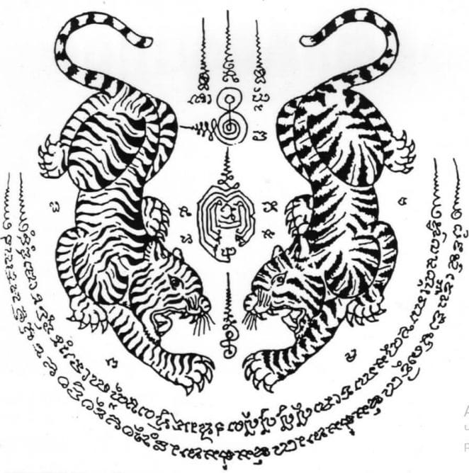 10+ Amazing Muay Thai Tiger Tattoo Designs - PetPress