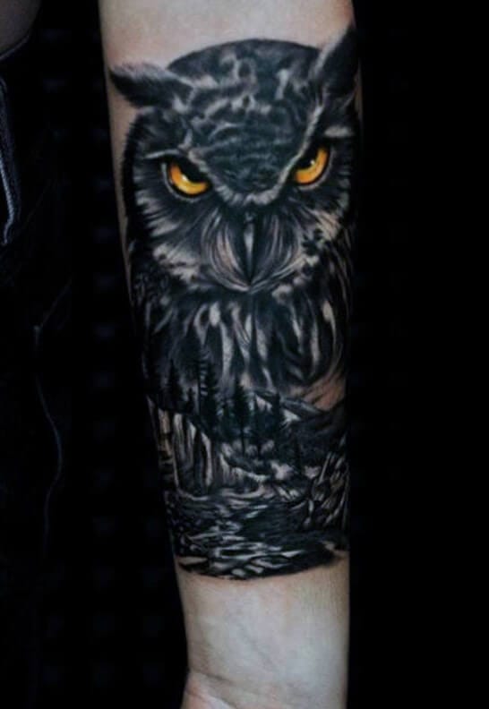 12+ Best Owl Arm Tattoo Designs - PetPress