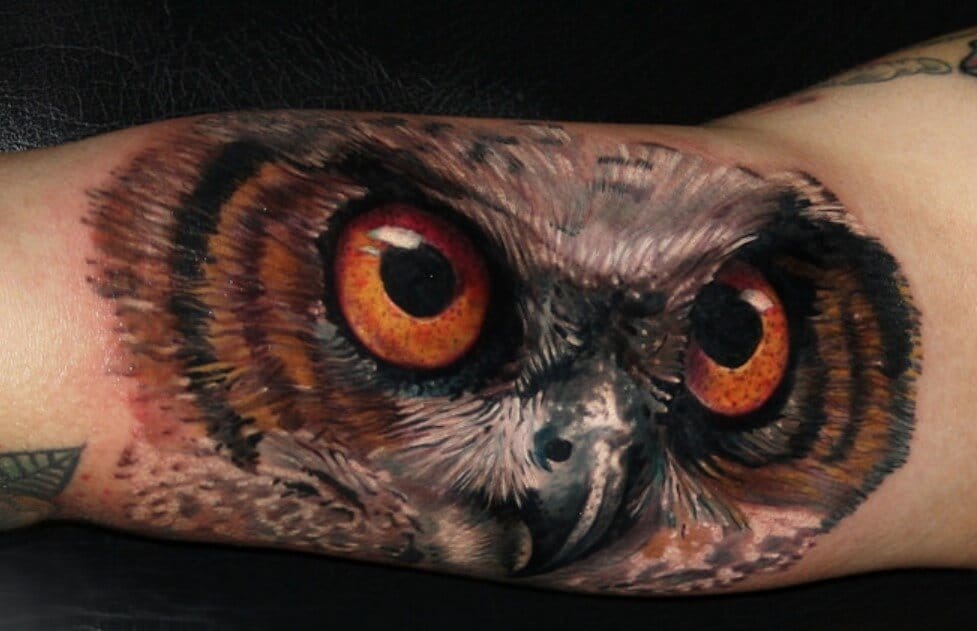 14+ Best Owl Face Tattoo Ideas PetPress