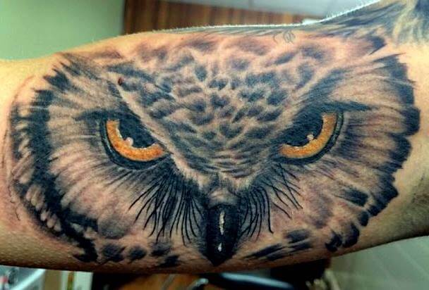 14+ Best Owl Face Tattoo Ideas - PetPress