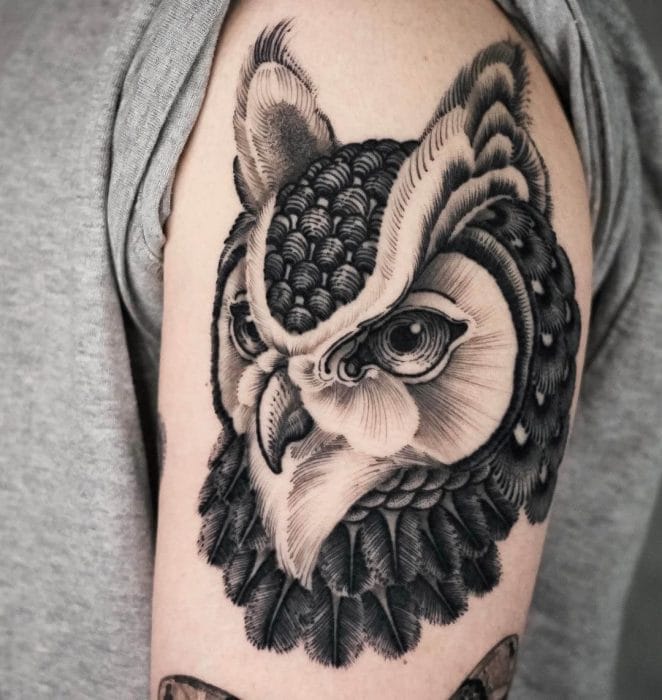 12+ Best Owl Head Tattoo Designs - PetPress