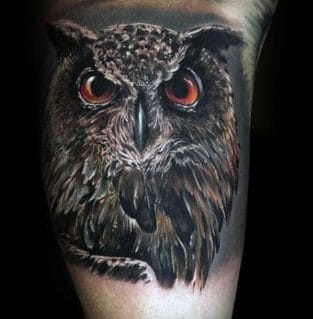 12+ Realistic Owl Tattoo Designs - PetPress