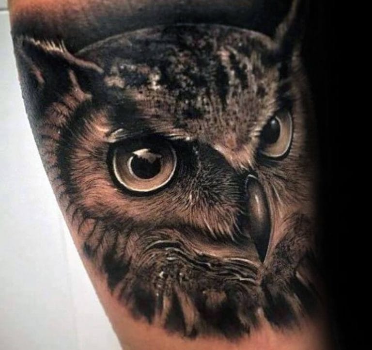 12+ Realistic Owl Tattoo Designs - PetPress