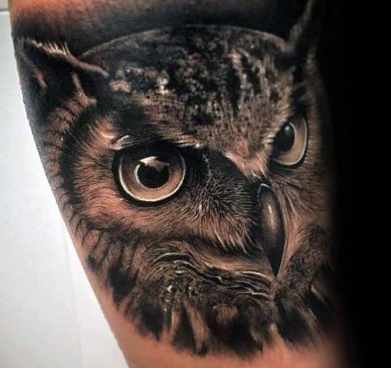 12+ Realistic Owl Tattoo Designs - PetPress