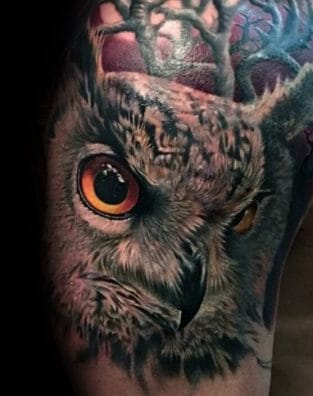 12+ Realistic Owl Tattoo Designs - PetPress