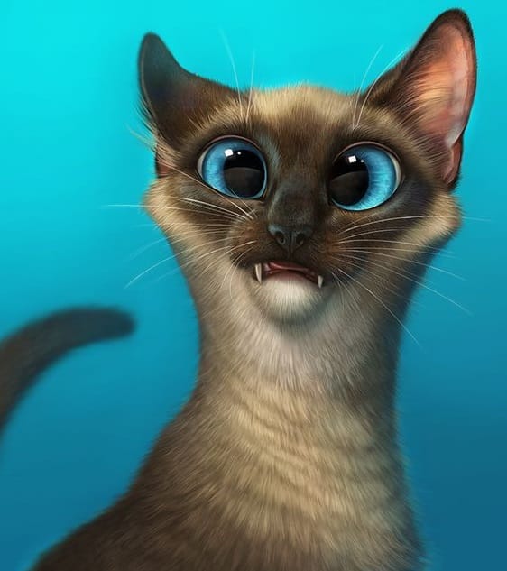 15 Funny Siamese Cats To Brighten Up Your Day - PetPress