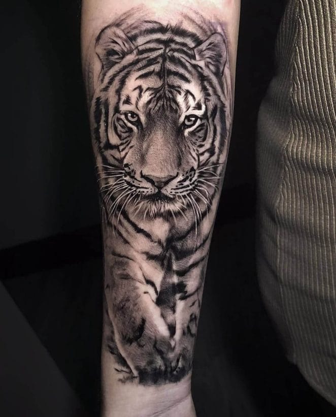 12+ Best Siberian Tiger Tattoo Designs - PetPress