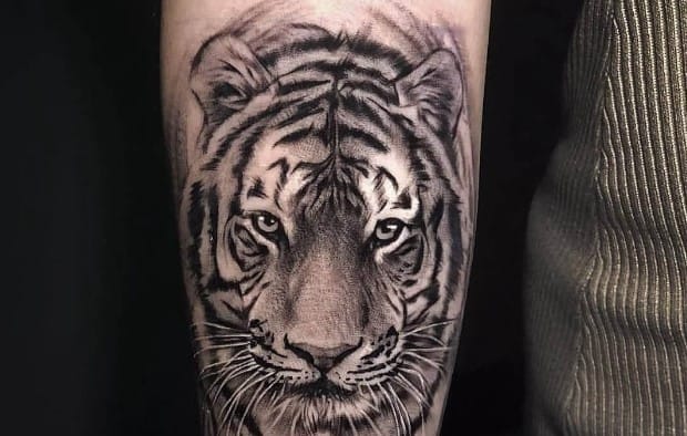 12+ Best Siberian Tiger Tattoo Designs - PetPress