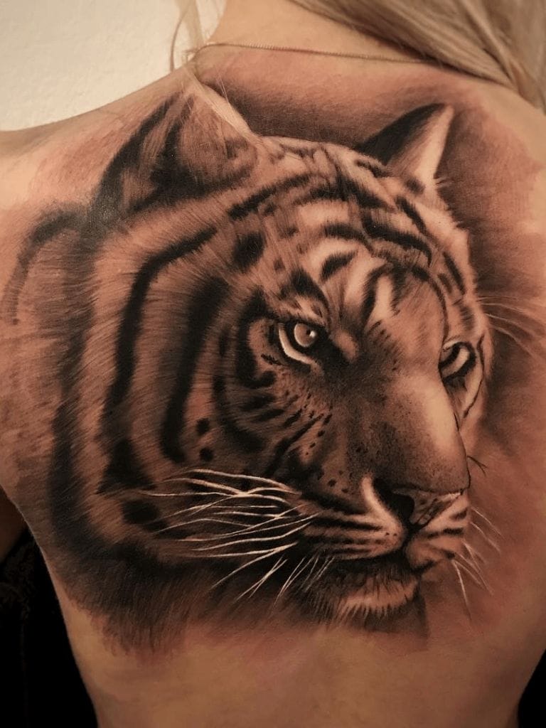 12+ Best Siberian Tiger Tattoo Designs PetPress