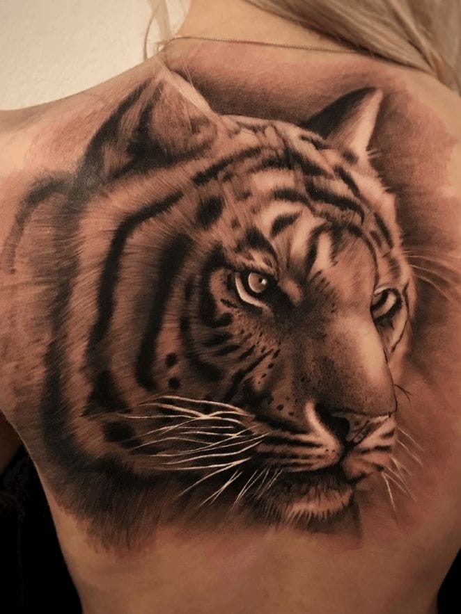 12+ Best Siberian Tiger Tattoo Designs - PetPress