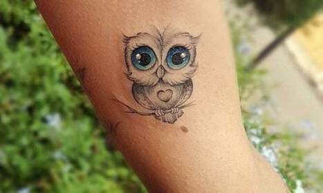 Top 12+ Small Owl Tattoo Ideas - PetPress