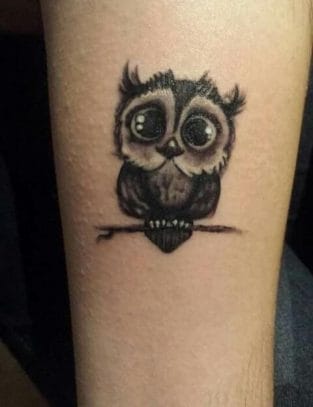 Top 12+ Small Owl Tattoo Ideas - PetPress