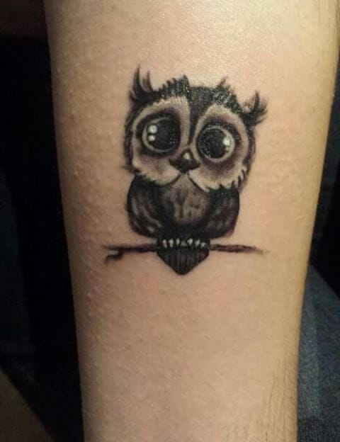 Top 12+ Small Owl Tattoo Ideas - PetPress