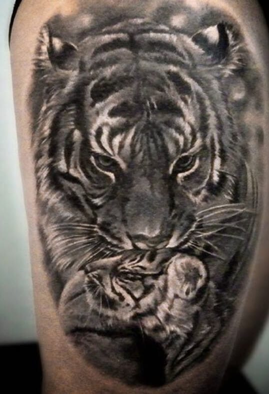 12+ Best Tiger and Cub Tattoo Designs - PetPress
