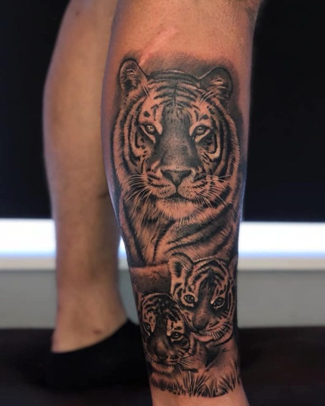 12+ Best Tiger and Cub Tattoo Designs - PetPress