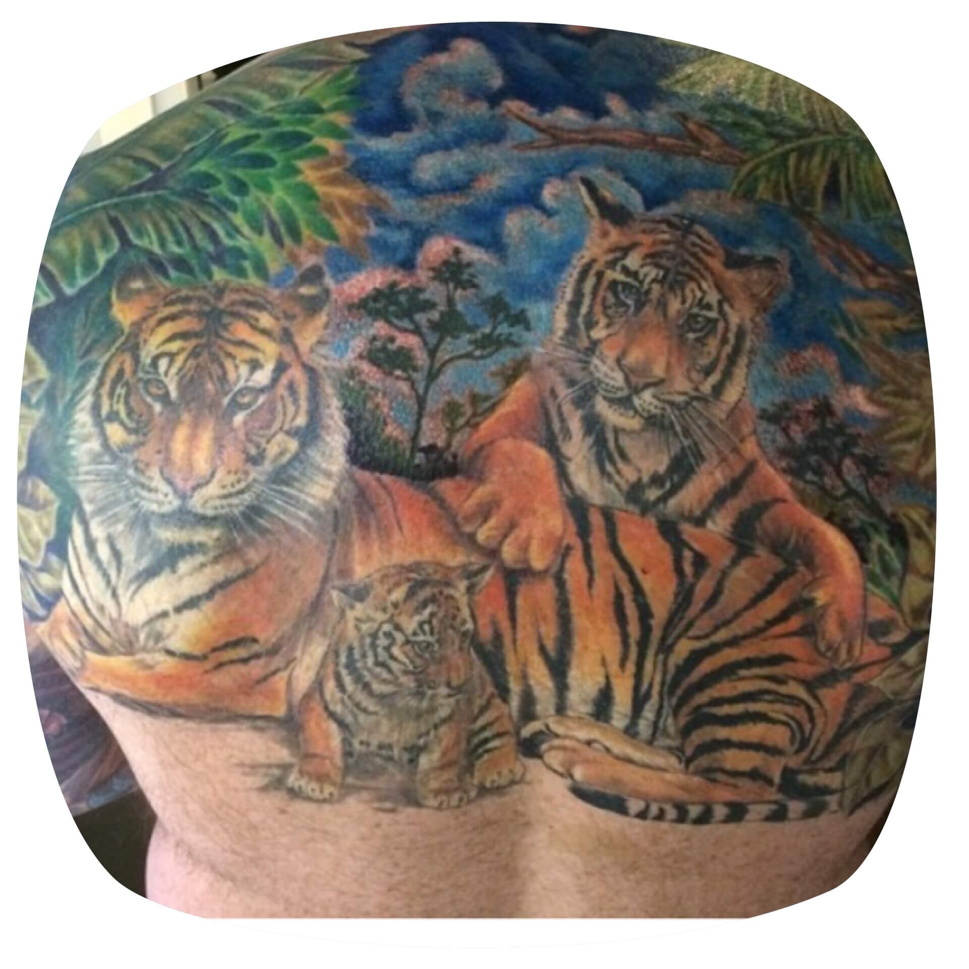 Top 10+ Tiger Family Tattoo Ideas PetPress