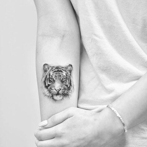 12+ Best Tiger Tattoos For Girls - PetPress