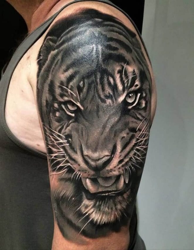 The 12+ Best Half Sleeve Tattoos - Tiger Tattoo Designs - PetPress