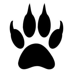 10+ Best Tiger Paw Print Tattoo Designs & Ideas - PetPress