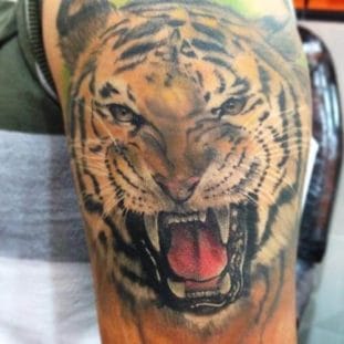 12+ Cool Roaring Tiger Tattoo Designs and Ideas - PetPress