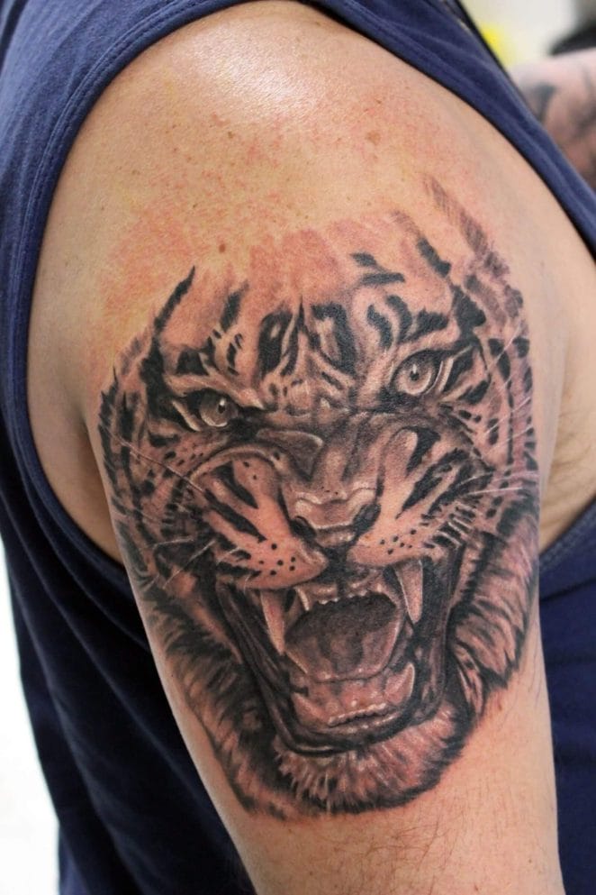 12+ Cool Roaring Tiger Tattoo Designs and Ideas PetPress