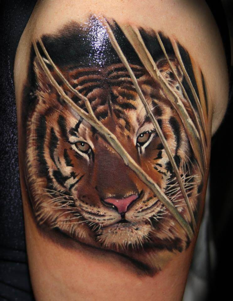 14+ Best Shoulder Tattoo Designs Tiger Tattoo Ideas PetPress