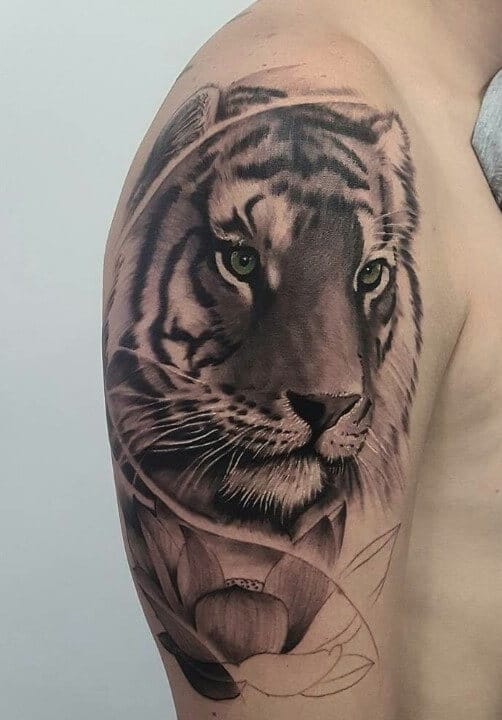 14+ Best Shoulder Tattoo Designs Tiger Tattoo Ideas PetPress