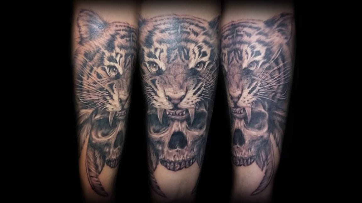 12+ Best Tiger and Skull Tattoo Designs PetPress