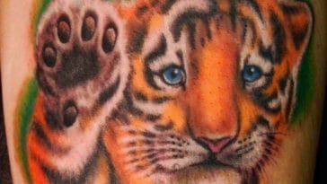 tiger tattoo