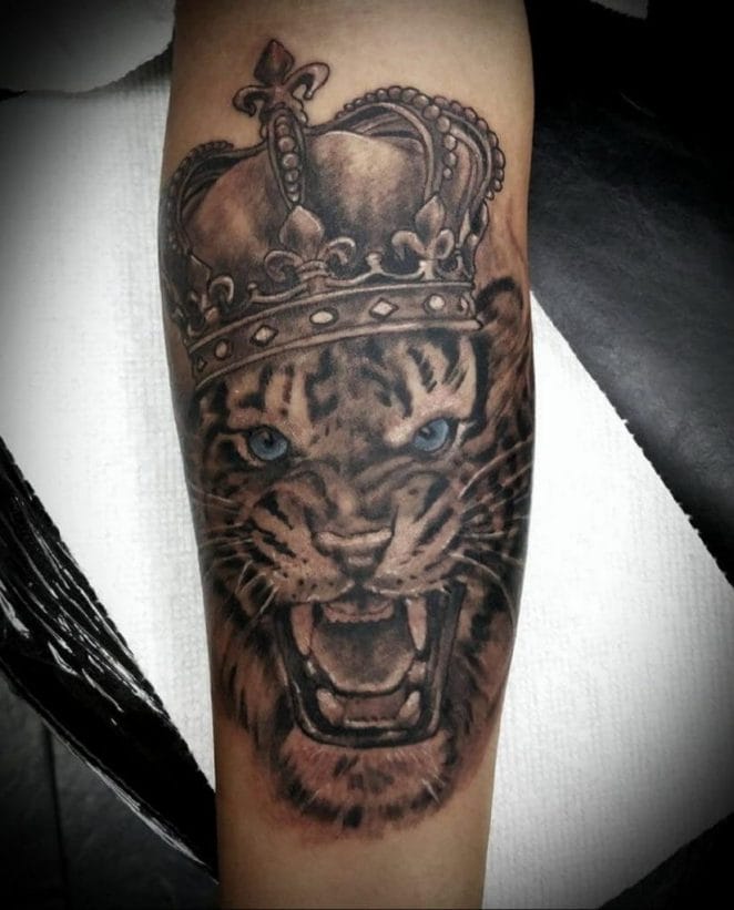 10+ Best Tiger With Crown Tattoo Designs PetPress
