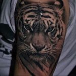 12+ Tigress Tattoo Designs and Ideas - PetPress