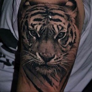 12+ Tigress Tattoo Designs and Ideas - PetPress
