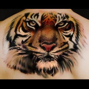 12+ Tigress Tattoo Designs and Ideas - PetPress