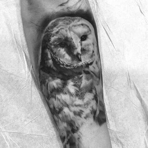 10+ Best White Owl Tattoo Ideas - PetPress