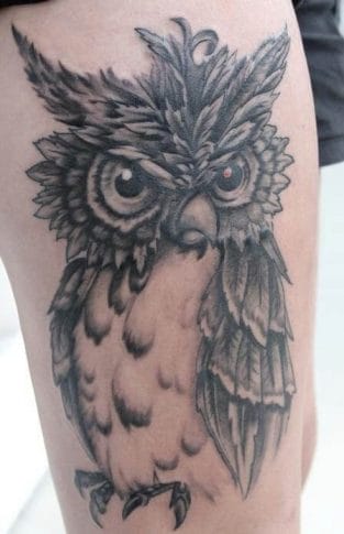 12+ Best Angry Owl Tattoo Ideas - PetPress