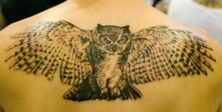 12+ Best Owl Wings Tattoo Ideas - PetPress